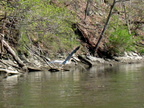 IMG 4533